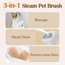3 In 1 Pet Steam Brush Remover Loss Hair
