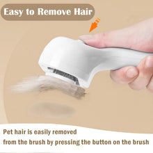 3 In 1 Pet Steam Brush Remover Loss Hair