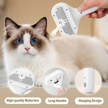 3 In 1 Pet Steam Brush Remover Loss Hair