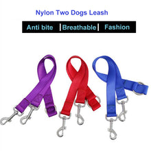 Double Twin Lead Walking Leashes Dog