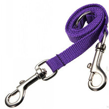 Double Twin Lead Walking Leashes Dog
