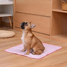 Cooling Dog Mat – Breathable Summer Pad Blanket for Dogs & Cats