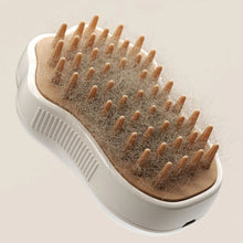 3-in-1 Steam Pet Brush – Electric Spray Comb for Cats & Dogs, Grooming, Massage & Loose Hair Removal