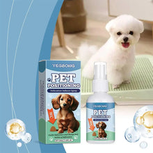 Pet Toilet Training Spray Potty Trainer Corrector Guide Pet To Pee At Fixed Spot Urinate