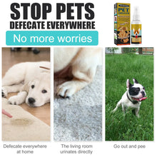 Pet Potty Training Spray – Helps Dogs & Cats with Urine & Stool Positioning Best for Kitten And Puppies