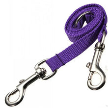Double Twin Lead Walking Leashes Dog