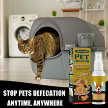 Pet Toilet Training Spray Puppy Positioning Defecation