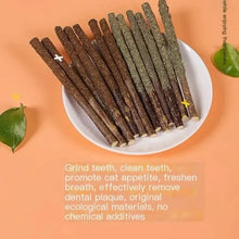 6pcs Natural Silvervine Cat Sticks – Mint Chew Toys for Scratching, Biting, Teeth Cleaning & Play Excitement