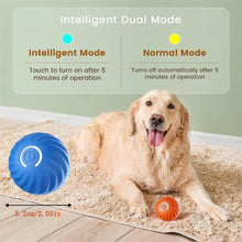 Interactive Cat Ball Toy – Automatic Rolling with Faux Tail, Rechargeable Mouse-Like Toy for Cat & Dog Training