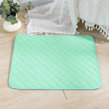 Reusable Dog Pee Pad Blanket – Absorbent, Washable Training Mat for Puppies, Pet Beds & Car Seat Covers