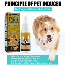 Pet Toilet Training Spray Puppy Positioning Defecation