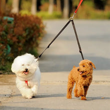 Double Twin Lead Walking Leashes Dog