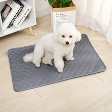 Reusable Dog Pee Pad Blanket – Absorbent, Washable Training Mat for Puppies, Pet Beds & Car Seat Covers