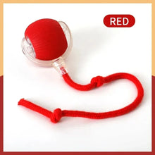 Interactive Cat Ball Toy – Automatic Rolling with Faux Tail, Rechargeable Mouse-Like Toy for Cat & Dog Training
