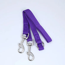 Double Twin Lead Walking Leashes Dog