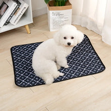 Reusable Dog Pee Pad Blanket – Absorbent, Washable Training Mat for Puppies, Pet Beds & Car Seat Covers