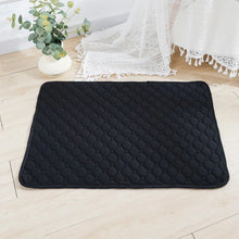 Reusable Dog Pee Pad Blanket – Absorbent, Washable Training Mat for Puppies, Pet Beds & Car Seat Covers