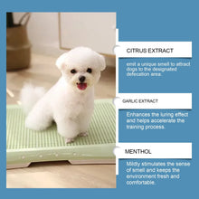 Dog Toilet Training Spray localized defecation inducer,Corrects ,Non-irritating,50ML