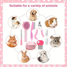 8Pcs Cat Brush Beauty Kit