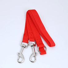 Double Twin Lead Walking Leashes Dog