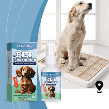 Pet Toilet Training Spray Potty Trainer Corrector Guide Pet To Pee At Fixed Spot Urinate