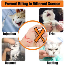 Breathable Clear Cat Muzzle – Adjustable Anti-Bite Head Cover for Grooming, Nail Trimming & Vet Visits