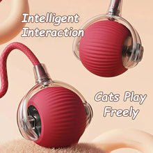 Interactive Cat Ball Toy – Automatic Rolling with Faux Tail, Rechargeable Mouse-Like Toy for Cat & Dog Training