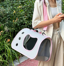 Portable Foldable Pet Carrier Bag – Breathable Shoulder Travel Bag for Small Dogs, Cats & Kittens