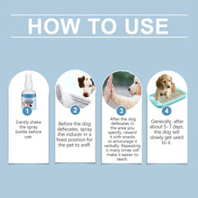 Dog Toilet Training Spray localized defecation inducer,Corrects ,Non-irritating,50ML