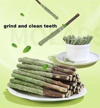 6pcs Natural Silvervine Cat Sticks – Mint Chew Toys for Scratching, Biting, Teeth Cleaning & Play Excitement