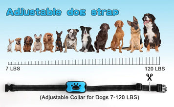 USB Rechargeable Anti-Bark Dog Collar – Ultrasonic & Vibration Training Device to Gently Stop Barking    Kitten Pups - No Shock Pet Friendly