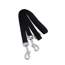 Double Twin Lead Walking Leashes Dog