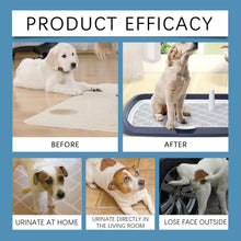 Dog Toilet Training Spray localized defecation inducer,Corrects ,Non-irritating,50ML