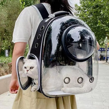 Space Capsule Pet Carrier Backpack – Breathable Transparent Travel Bag for Cats, Puppies
