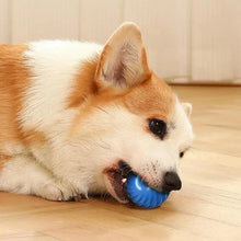Interactive Cat Ball Toy – Automatic Rolling with Faux Tail, Rechargeable Mouse-Like Toy for Cat & Dog Training