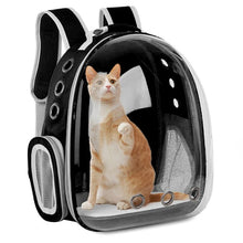 Space Capsule Pet Carrier Backpack – Breathable Transparent Travel Bag for Cats, Puppies