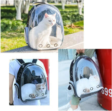 Transparent Bubble Pet Carrier Backpack – Breathable Travel Bag for Cats, Puppies, Kittens & Small Animals