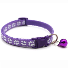 Fashion Rainbow Flower Cat Collar – Colorful Lace with Bell, Adjustable Buckle for Kittens & Puppies