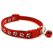 Fashion Rainbow Flower Cat Collar – Colorful Lace with Bell, Adjustable Buckle for Kittens & Puppies