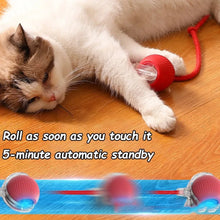Interactive Cat Ball Toy – Automatic Rolling with Faux Tail, Rechargeable Mouse-Like Toy for Cat & Dog Training