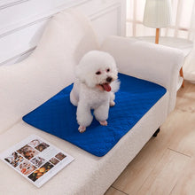 Reusable Dog Pee Pad Blanket – Absorbent, Washable Training Mat for Puppies, Pet Beds & Car Seat Covers