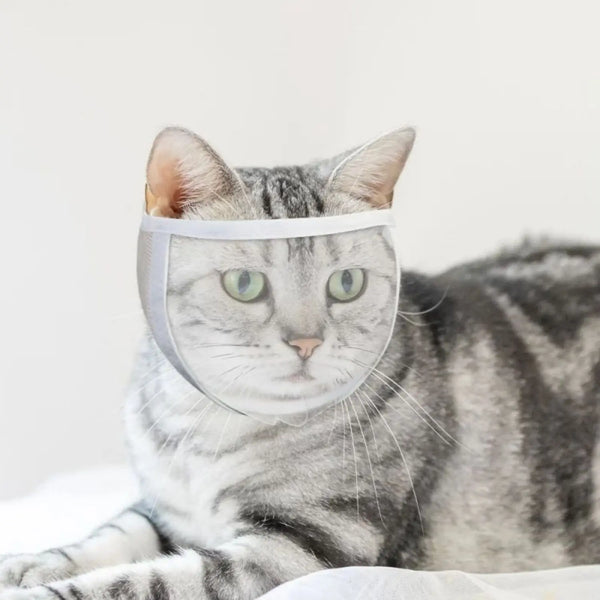 TONG Cat Anti-Bite Muzzle – Breathable Transparent Adjustable Helmet Mask for Nail Trimming