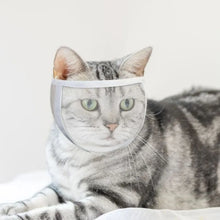 TONG Cat Anti-Bite Muzzle – Breathable Transparent Adjustable Helmet Mask for Nail Trimming