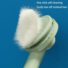 Cat Grooming Brush – Hair Remover Comb for Cats, Kittens & Puppies, Easy Shedding Tool & Accessory
