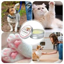 Paw Balm for Cats And Dog 50g Pet Nose Protector Moisturizer Crack Feet Repair