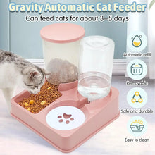 2 In 1 Automatic Cat Gravity Food & Water Dispenser Set Tilted Automatic