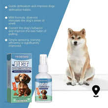 Pet Toilet Training Spray Potty Trainer Corrector Guide Pet To Pee At Fixed Spot Urinate