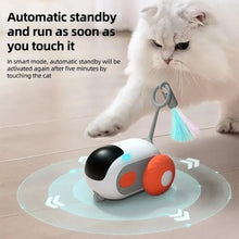 Interactive Cat Toy Car – Automatic Rolling Remote-Controlled Toy for Kittens & Cats, Fun Playtime Accessory