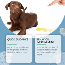 Dog Toilet Training Spray localized defecation inducer,Corrects ,Non-irritating,50ML