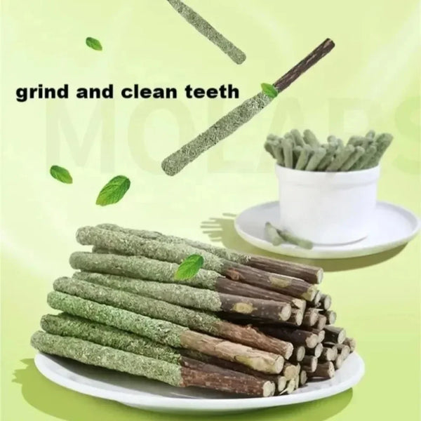 6pcs Natural Silvervine Cat Sticks – Mint Chew Toys for Scratching, Biting, Teeth Cleaning & Play Excitement